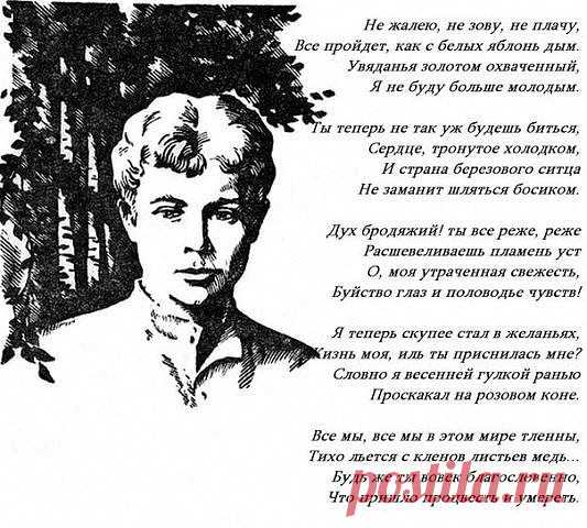(99) Одноклассники