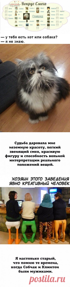Те, кто считают, что русские медленно запрягают, видимо просто никогда не ездили с ними за водкой. - Выпуск №842 — Вокруг смеха - анекдоты