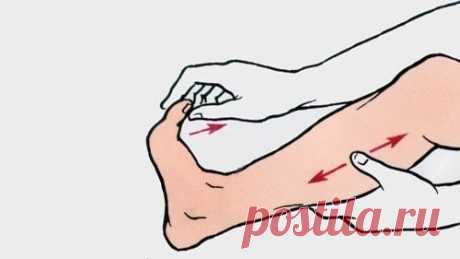 Причина судорог мышц – повышение возбудимости нервных и мышечных клеток.