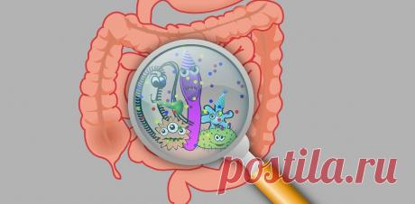 Кишечный микробиом: что важнее – естественный отбор или действие среды?
Когда мы едим, мы кормим еще и пару килограммов микроорганизмов, обитающих в нашем желудочно-кишечном тракте. Такие микробные сообщества отличаются огромным разнообразием, и они совершенно необходимы нашему организму для нормальной жизнедеятельности, включая обмен веществ и иммунитет. Недавно ученые исследовали , меняется ли...
Читай дальше на сайте. Жми подробнее ➡