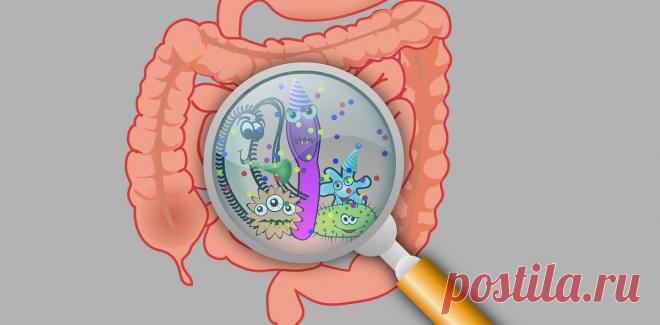 Кишечный микробиом: что важнее – естественный отбор или действие среды?
Когда мы едим, мы кормим еще и пару килограммов микроорганизмов, обитающих в нашем желудочно-кишечном тракте. Такие микробные сообщества отличаются огромным разнообразием, и они совершенно необходимы нашему организму для нормальной жизнедеятельности, включая обмен веществ и иммунитет. Недавно ученые исследовали , меняется ли...
Читай дальше на сайте. Жми подробнее ➡