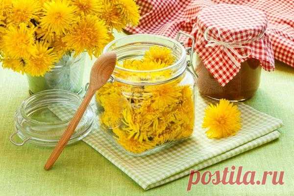 Варенье из одуванчиков - необыкновенно вкусно и полезно!