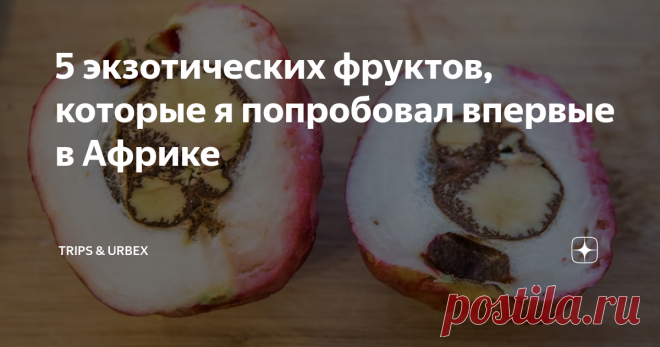 5 экзотических фруктов, которые я попробовал впервые в Африке Занзибарское яблоко, рамбутан, джекфрут, гуанабана — чистая экзотика!