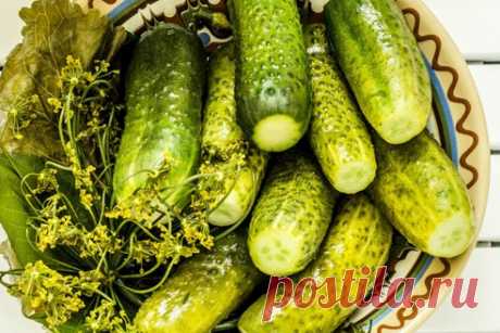 Рецепт: Засолить огурцы быстро