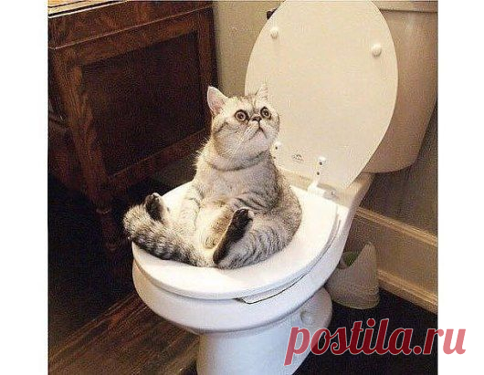 Че уставился? Не видишь, занято!