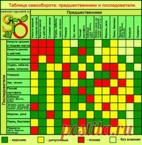 Советы - Дачные хитрости от А до Я