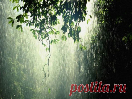 Дни, как ливень - Стихи - Для души - Статьи - Школа радости