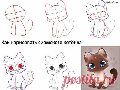 «Смотреть как рисуют котёнка» — карточка пользователя slavashishaev в Яндекс.Коллекциях