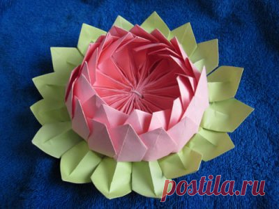 Оригами схема настоящая кувшинка из бумаги своими руками как сделать.