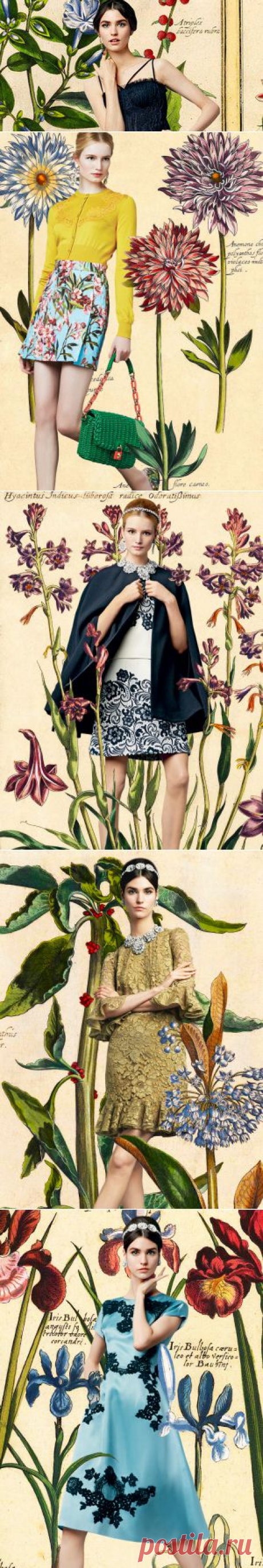 Уроки ботаники от Dolce &amp; Gabbana | Красота спасает мир