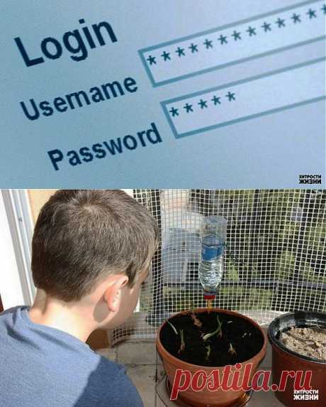 Хитрости жизни