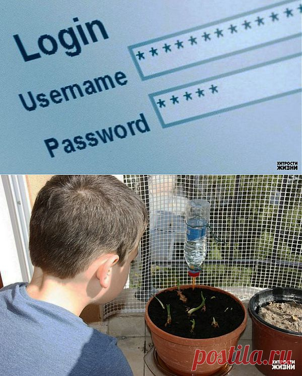 Хитрости жизни