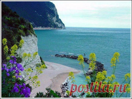 Лара Фомина Смирнова