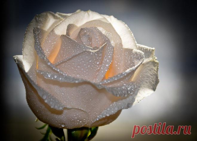 Александр: Стремление узнать новое,интересное. НЕ унывать,быть оптимистом.