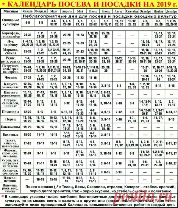 Календарь посева и посадки растений на 2019
