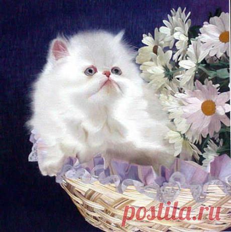 Китайская живопись гладью — Рукоделие