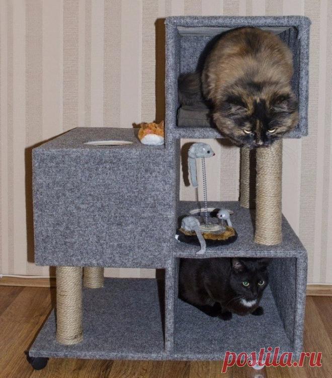 Проекты для дачи и дома