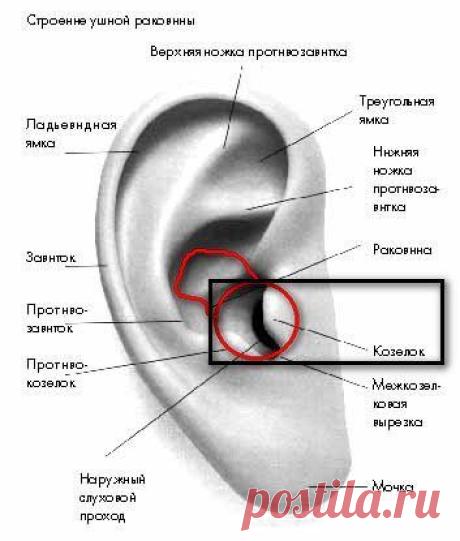Философия красоты и здоровья