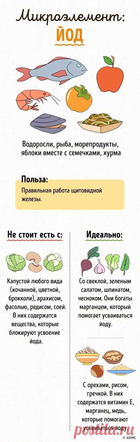 Полезные микроэлементы и витамины в еде не всегда дружат и даже могут блокировать усвоение друг друга (а порой, наоборот, усиливать). Чтобы свести к минимуму нежелательные сочетания, не стоит налегать...