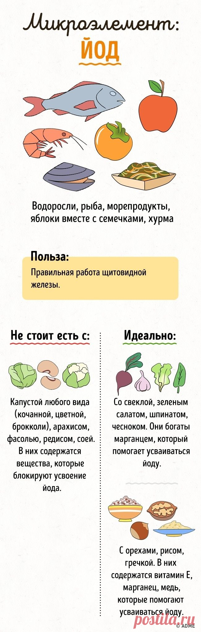 Полезные микроэлементы и витамины в еде не всегда дружат и даже могут блокировать усвоение друг друга (а порой, наоборот, усиливать). Чтобы свести к минимуму нежелательные сочетания, не стоит налегать...