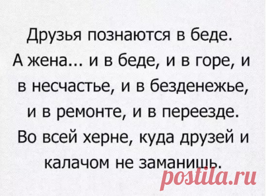 ↓↓↓ ЖМИ ↓↓↓