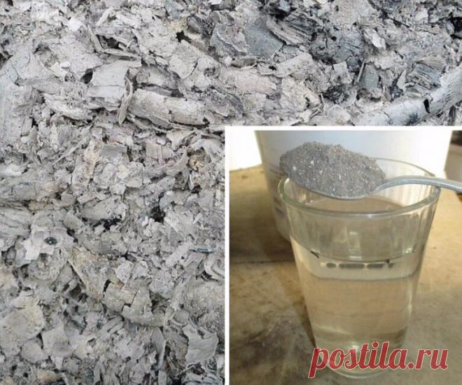 Не променяю ни на что:Самое лучшее удобрение для орхидей. | ПРОСТЫЕ РЕЦЕПТЫ | Яндекс Дзен