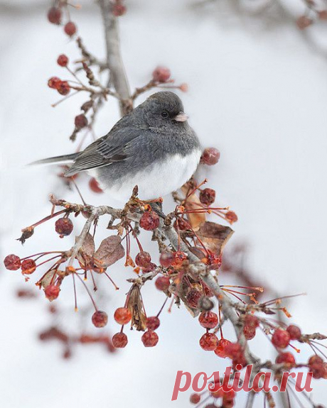 beautiful things : Photo