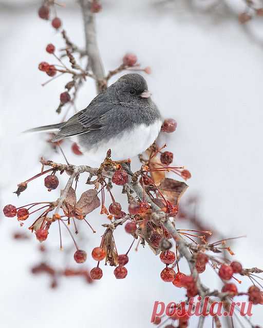 beautiful things : Photo