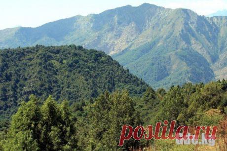 сары челек фото: 643 изображения найдено в Яндекс.Картинках