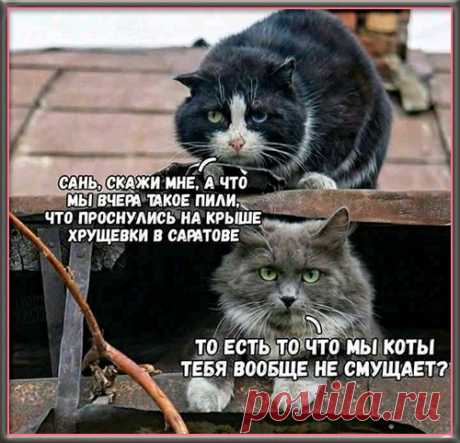 Жизнь почти прекрасна. Ее немного портит отсутствие приемлемой альтернативы.