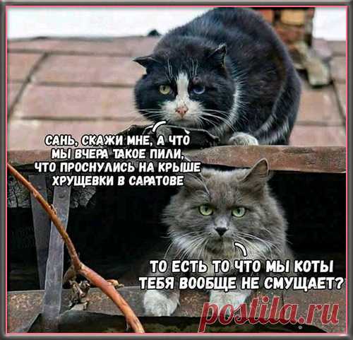 Жизнь почти прекрасна. Ее немного портит отсутствие приемлемой альтернативы.
