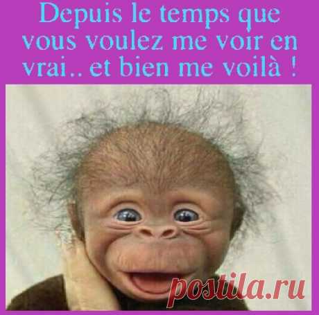 (20+) Facebook