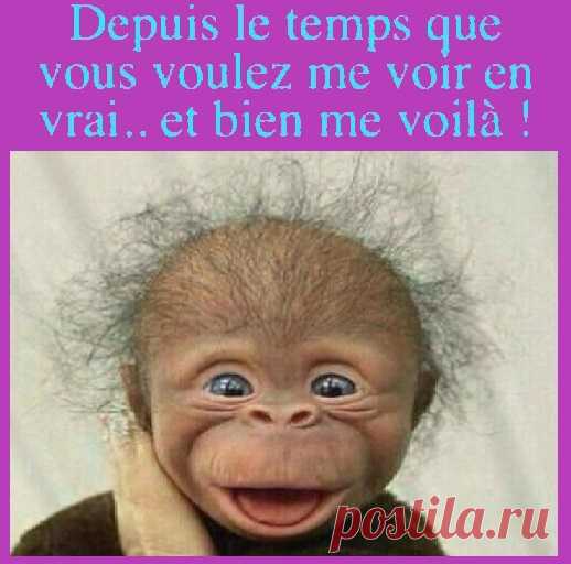 (20+) Facebook