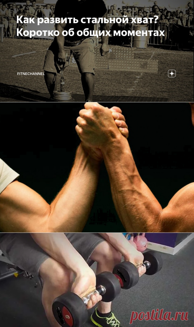 Как развить стальной хват? Коротко об общих моментах | fitnechannel | Яндекс Дзен