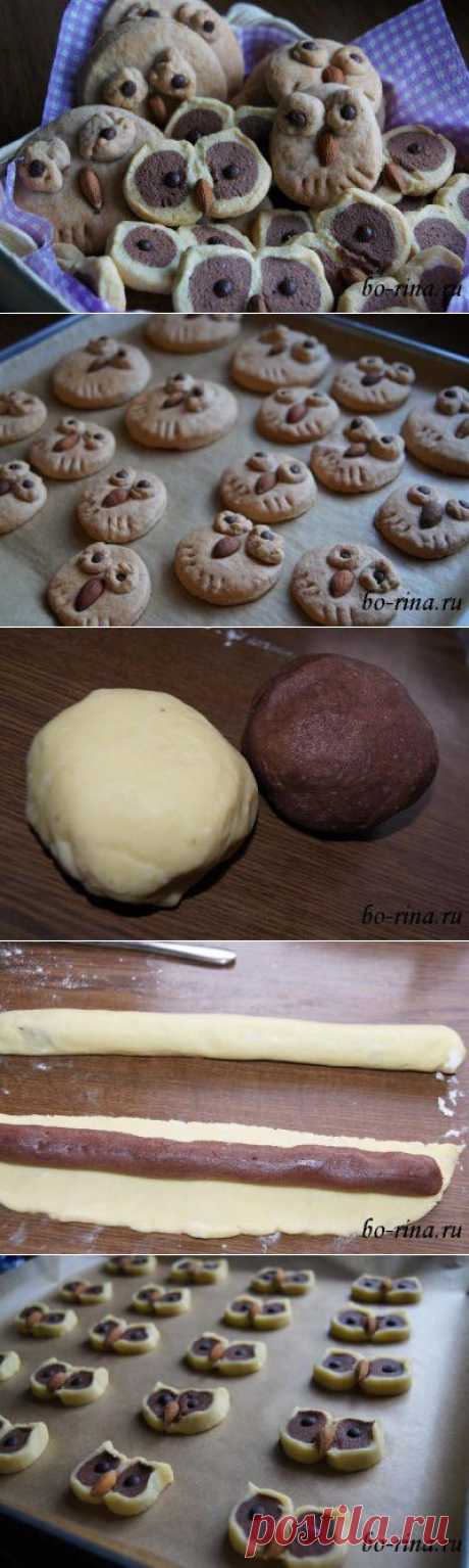 Песочное печенье «Совы» (2 варианта) | Вкусно и красиво!