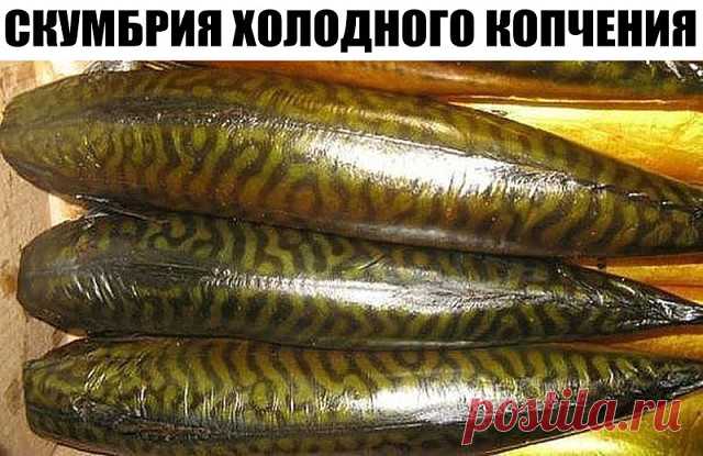 (89) Одноклассники
