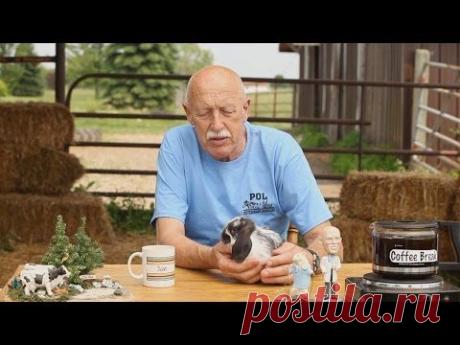 Bull's-eye! | Coffee Break With Dr. Pol (Season 2, Episode 10)