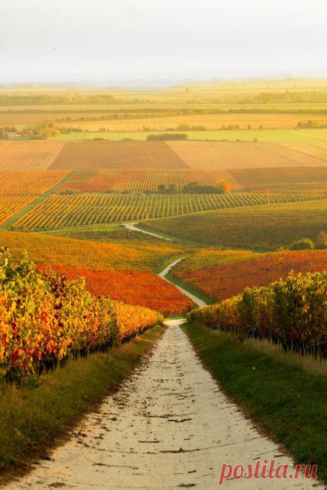 Найдено на сайте serendipitouswanderings.tumblr.com.