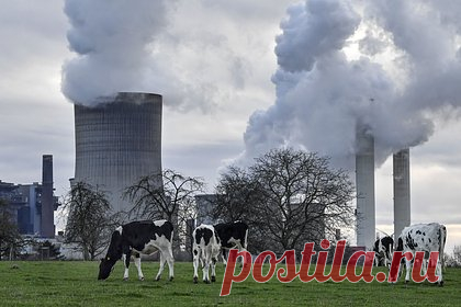 Германия пойдет на непопулярную меру ради тепла зимой. В правительстве Германии решили вернуть к работе несколько угольных электростанций ради обеспечения бесперебойной подачи энергии в пиковые периоды спроса предстоящей зимой. Эта непопулярная в контексте стремления ФРГ достичь нулевых выбросов углерода мера должна помочь стране сэкономить природный газ.