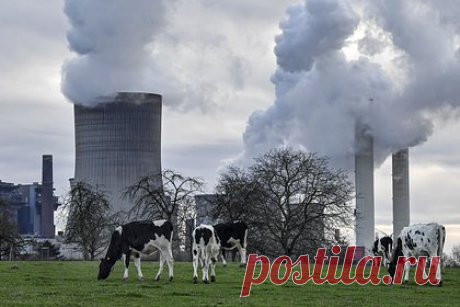 Германия пойдет на непопулярную меру ради тепла зимой. В правительстве Германии решили вернуть к работе несколько угольных электростанций ради обеспечения бесперебойной подачи энергии в пиковые периоды спроса предстоящей зимой. Эта непопулярная в контексте стремления ФРГ достичь нулевых выбросов углерода мера должна помочь стране сэкономить природный газ.