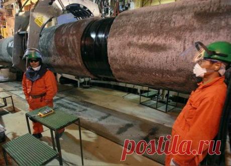 CounterPunch: Путин положил конец потугам «империи США»