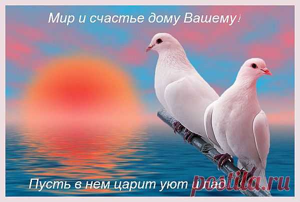 моим Друзьям