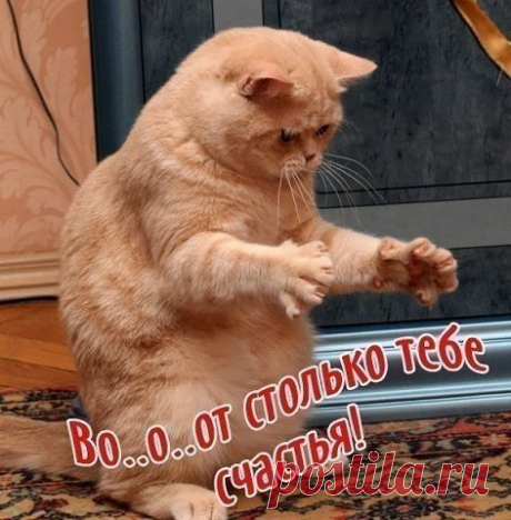 Мои новости