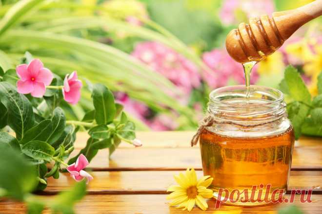 Как выбрать качественный мёд. Осторожно, мошенники! &raquo; Женский Мир