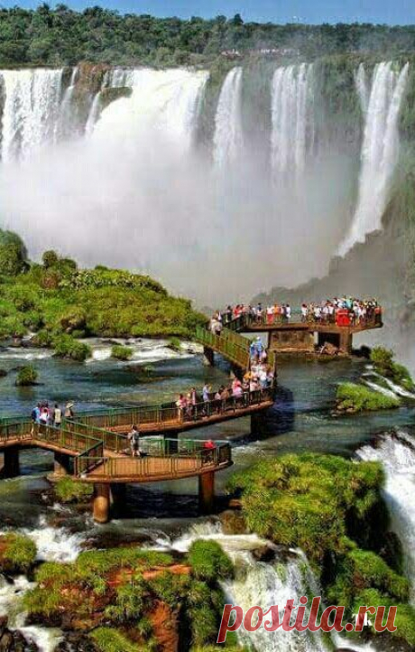 Google+