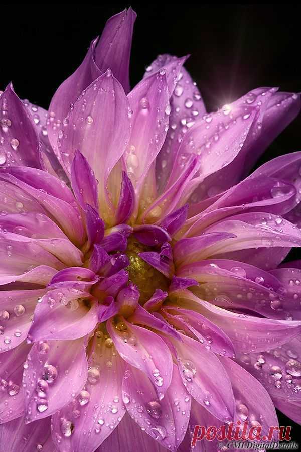 Найдено на сайте 500px.com.