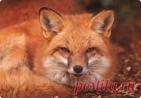 Мой Мир@Mail.Ru