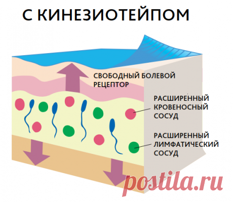 Принцип работы тейпа