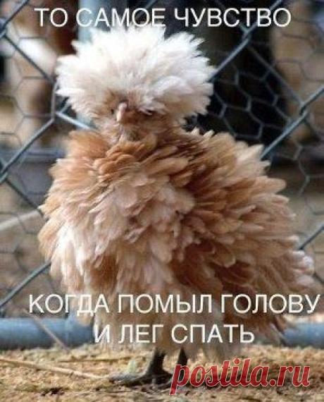 ))))))))))