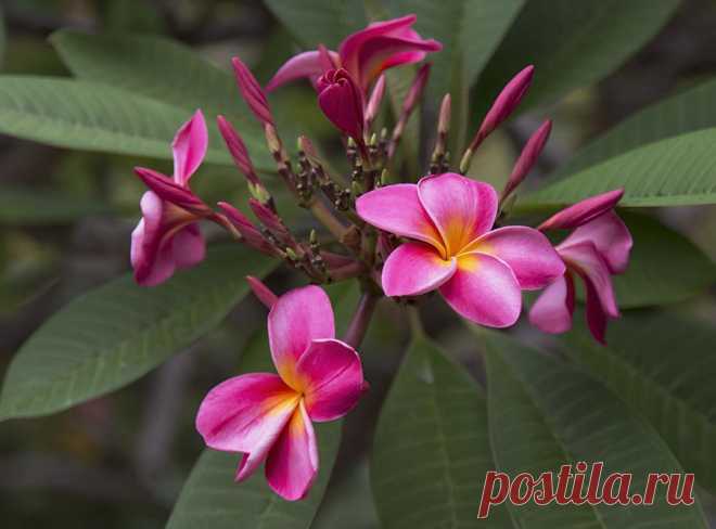 Мой Мир@Mail.Ru